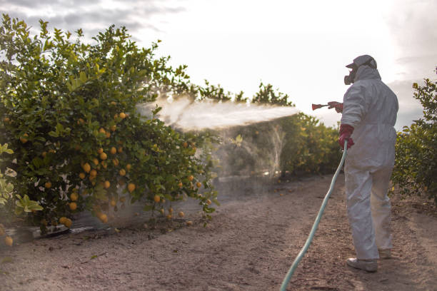 Best Bed Bug Extermination  in Fords Prairie, WA