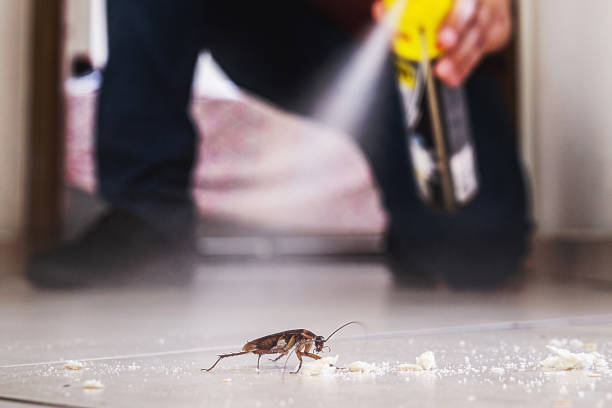 Best Flea Control Services  in Fords Prairie, WA