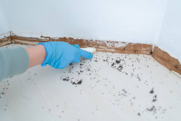 Wildlife Control Services in Fords Prairie, WA