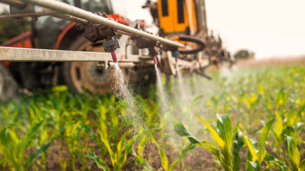 Best Local Pest Control Services  in Fords Prairie, WA
